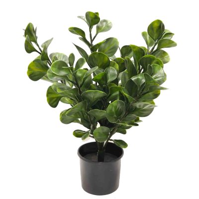 artificial Jade Plant UV stabilised | Faux Jane Plant